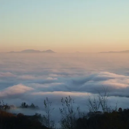 Beewell Hive Apartment Crosara